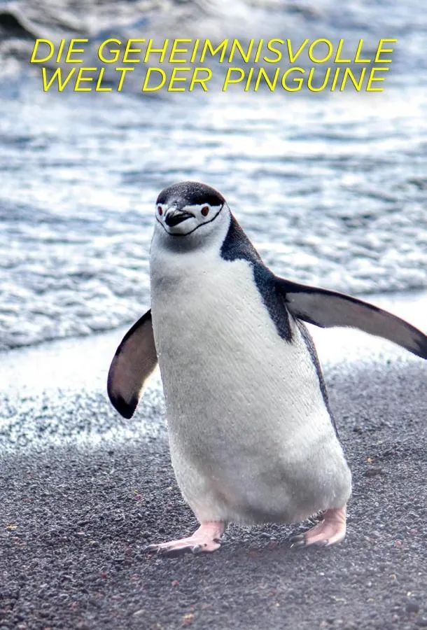Тайны пингвинов смотреть онлайн